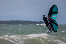 Load image into Gallery viewer, ppc blend wing