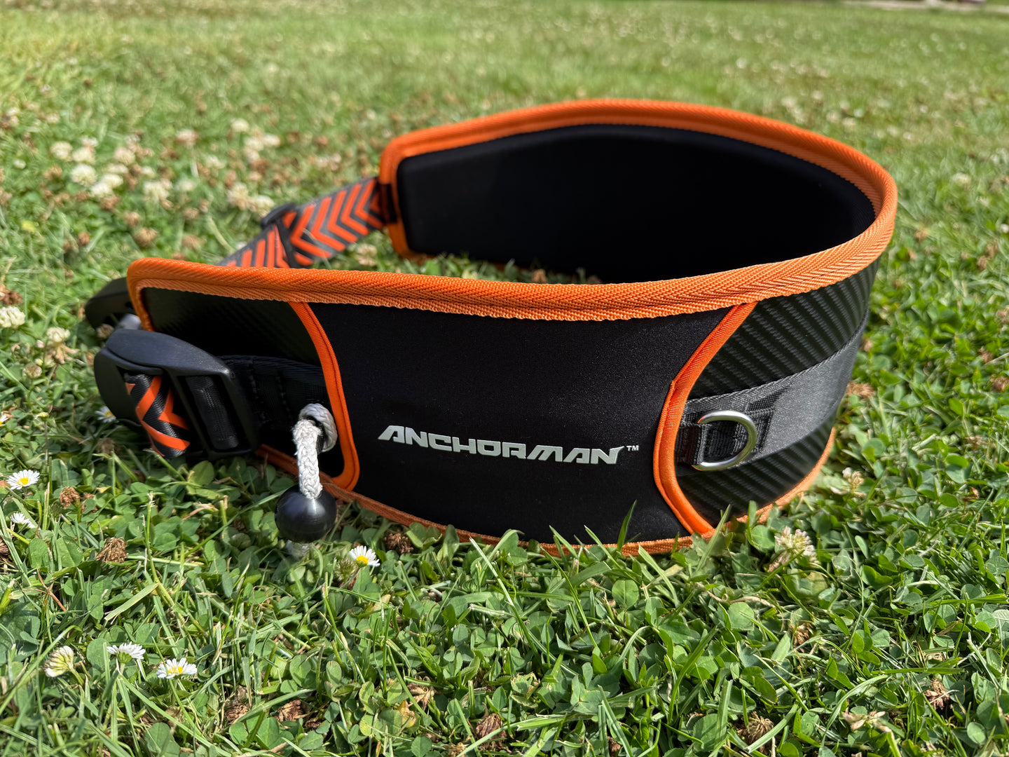 Anchorman Waist Harness